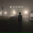 CCOSMO