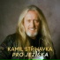 Kamil Střihavka