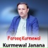 Farooq Kurmewal