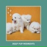 Relaxing Dog Music