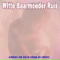 Witte Baarmoeder Ruis