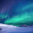 Wonders Of Nature