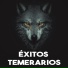 Charly Abrego & Cboys