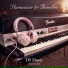 DS Music