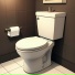 DJ Toilet