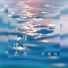 刘瑾屹