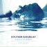Sylvain Gourlay