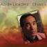 Abdelkader Chaou
