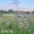Gylin AI