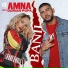 Amna feat. Dorian Popa