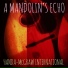 Handa-McGraw International