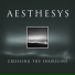 Aesthesys