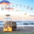海岸波チル