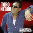 Toro Negro