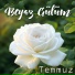 Temmuz