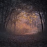 Calming Sounds, Rain Sounds, Pro Sounds of Nature