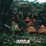 MokkaMusic