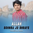Prince Ali Khan