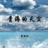 董安加