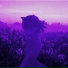SXNSTXRM, Alex Pristupa