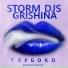 Storm DJs, Grishina