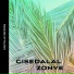 Zonye