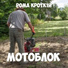 РОМА КРОТК1Й