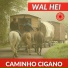 Wal Hei