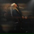 Sean Feucht