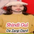 Shindi Gul