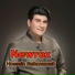 hossein safamanesh