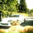 TXMASHUX, CRAZZBRÂTKA