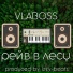 Vlaboss