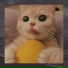 DJ Melody