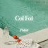 Poleti