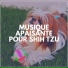 Musique Calmante Pour Chiens
