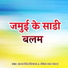 Antra Singh Priyanka, Ravish Lal Yadav