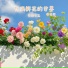 清纯女高