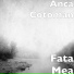 Anca Cotoman