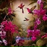 Dorothy Yandell