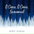 Pat Coil feat. Danny Gottlieb, Jacob Jezioro
