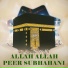 Mohammad Aslam Habib