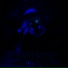 DEXTERYY, DXRKA