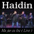 Haidin