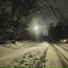 leverfall