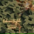 Виктория Голубева