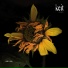 keit project