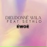 Dieudonné wila feat. sethlo