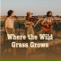 Countryside Melody