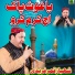 Shahbaaz Qamar Fareedi